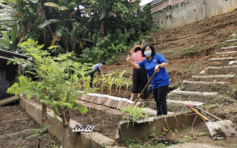Silent Teddy Edible Garden 1
