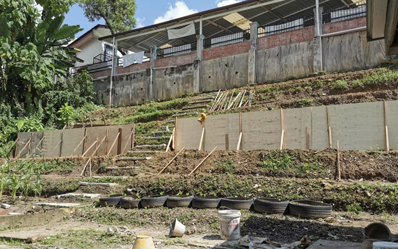 Silent Teddy Edible Garden 2